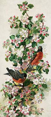 Wall Art - Painting - Robins In Flowering Bush 1896 by Unknown