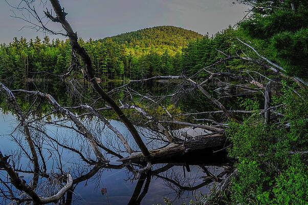 Wall Art - Photograph - Rock Pond Sunset by Bob Grabowski