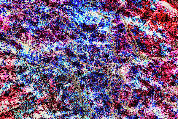 Wall Art - Digital Art - Rock with a Lichen Texture overlay by Bruce Block