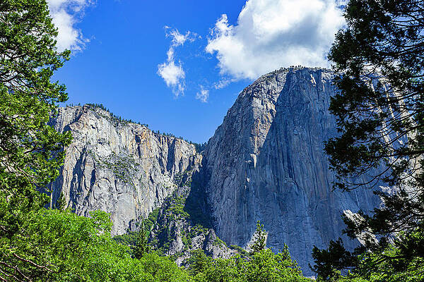 Forest Photograph - Rockslide by David Fountain