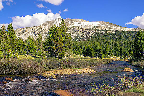 Green Photograph - Rocky Stream With Snowy Mountain by David Fountain