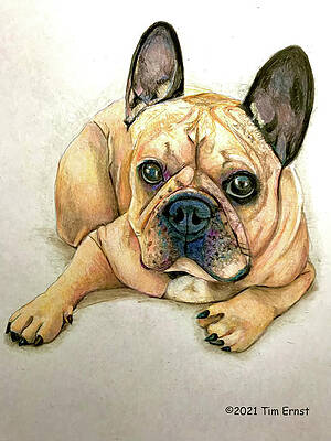Rocky by Tim Ernst Rocky by Tim Ernst