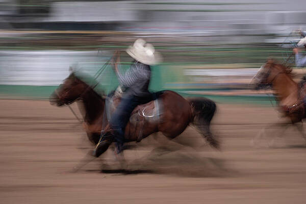  Photograph - Rodeo 20 by Jeff Hixson Creative