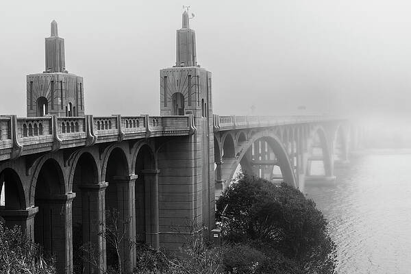 Wall Art - Photograph - Rogue River Bridge in Fog by Mike Lee