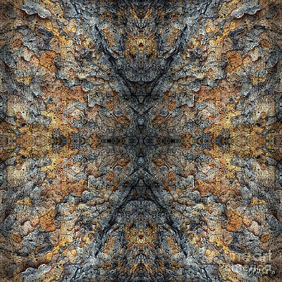 Rorschachian Field 37 by Walter Neal Rorschachian Field 37 by Walter Neal