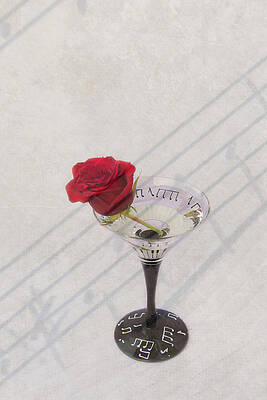 Wall Art - Photograph - Rose Martini by Pamela Williams