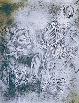 Rose by Try Cheatham Rose by Try Cheatham