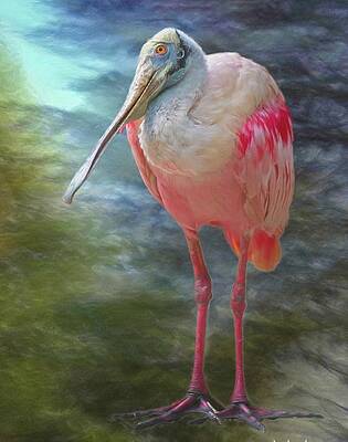 Wall Art - Mixed Media - Roseate Spoonbill No 1 by Steve DaPonte