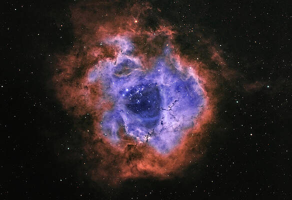 Rosette Nebula by Murray Fox Rosette Nebula by Murray Fox