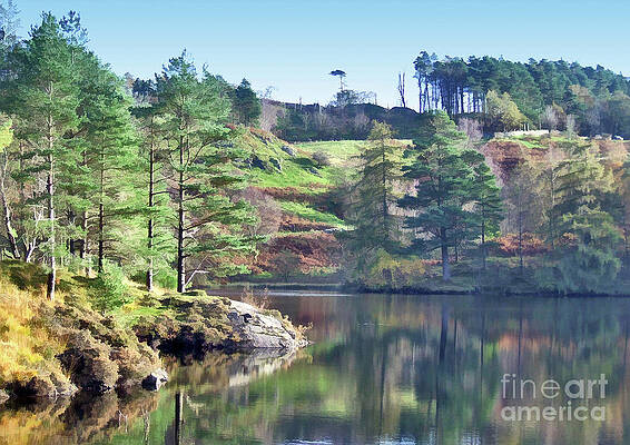 Roundabout - Autumn 26 by David Hargreaves Roundabout - Autumn 26 by David Hargreaves