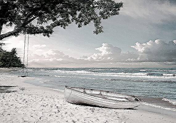 Rowboat and a Tree Swing by David Manlove Rowboat and a Tree Swing by David Manlove