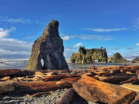Wall Art - Photograph - Ruby Beach - Olympic Peninsula #3 by Jerry Abbott