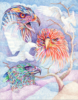 Harpy Eagle Drawing Fine Art Print – Kathie Miller