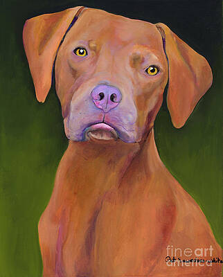 Rupert by Pat Saunders-White Rupert by Pat Saunders-White