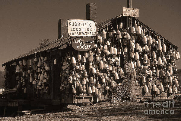 RUSSELS by Skip Willits RUSSELS by Skip Willits