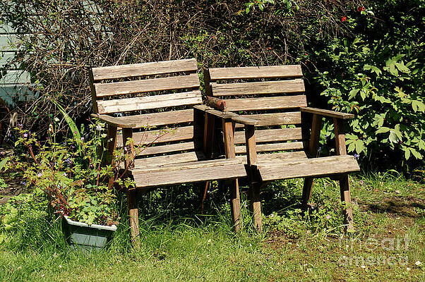Rustic Garden Chairs by John  Mitchell
