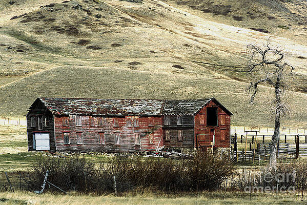 Rustic Outbuilding by Kae Cheatham Rustic Outbuilding by Kae Cheatham