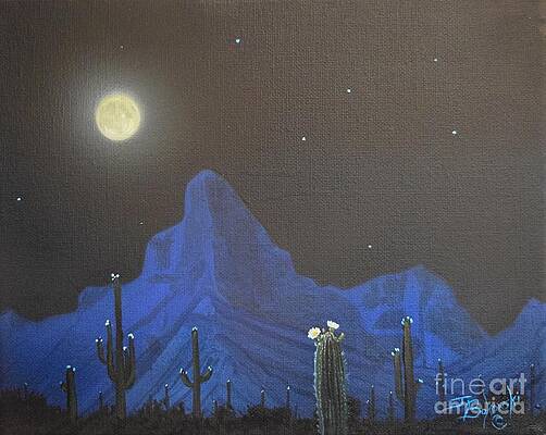 Saguaro Evening Blooms by Jerry Bokowski Saguaro Evening Blooms by Jerry Bokowski