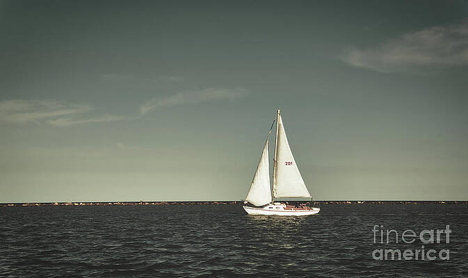 Sailboat by Andrea Anderegg Sailboat by Andrea Anderegg