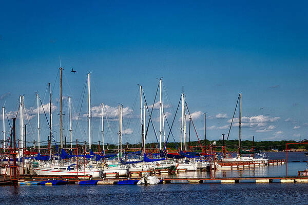 Sailboats by Linda James Sailboats by Linda James