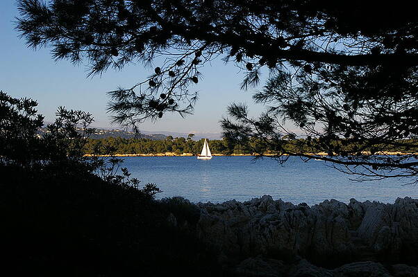 Wall Art - Photograph - Saint Honorat - sailing by Murray Croft