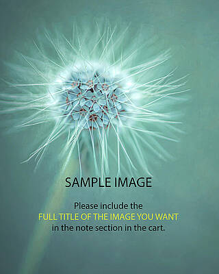 Sample Image of a Vertical Print by Jo Afton