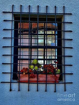 San Francisco Window by Suzanne Lorenz San Francisco Window by Suzanne Lorenz