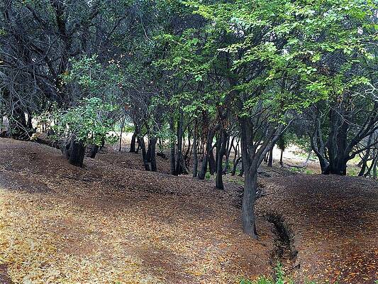San Rafael City Open Space by John Parulis San Rafael City Open Space by John Parulis