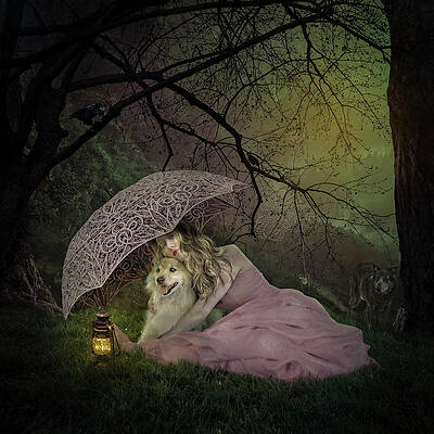 Sanctuary by Maggy Pease Sanctuary by Maggy Pease