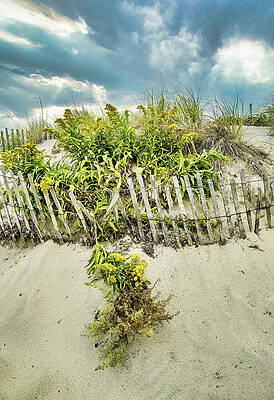 Sand Dune Section On A Cloudy Day by Gary Slawsky Sand Dune Section On A Cloudy Day by Gary Slawsky