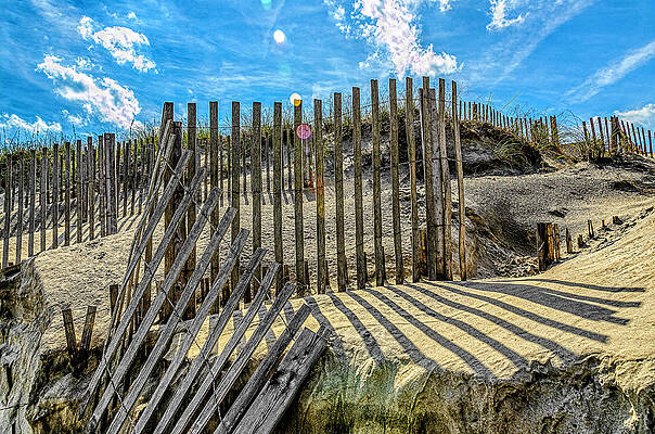 Sand Fence 2015 by Greg Reed Sand Fence 2015 by Greg Reed