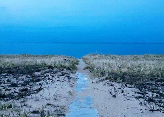 Sandy Path to Beach by Michelle A Wilder