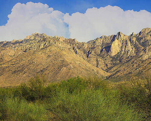 Santa Catalina Mountains Pc24693L by Mark Myhaver Santa Catalina Mountains Pc24693L by Mark Myhaver