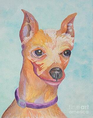 Vibrant Wall Art featuring the painting Sassy Minipin by Angela J Murray