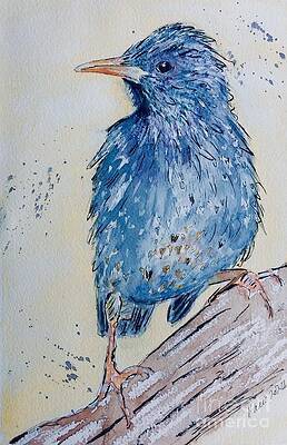 Sassy Starling by Maxie Absell Sassy Starling by Maxie Absell
