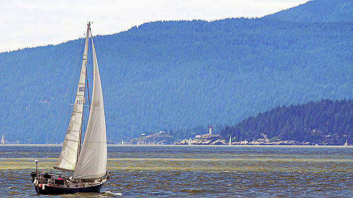 Saturday Sailing by Cameron Wood Saturday Sailing by Cameron Wood