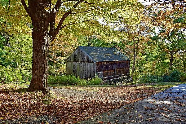 Wall Art - Photograph - Sawmill at Moore State Park by Monika Salvan