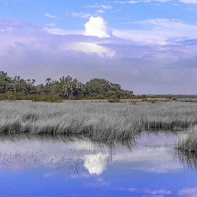 Wall Art - Photograph - Scene 220E by Sally Fuller