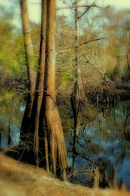 Wall Art - Photograph - Scene 293C by Sally Fuller
