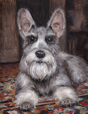 Schnauzer by Julie Bailey