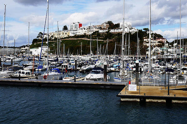 Sea of Masts in Torquay by Jeremy Hayden Sea of Masts in Torquay by Jeremy Hayden