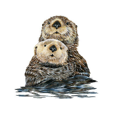 Sea Otter Paintings (Page #2 of 4) | Fine Art America