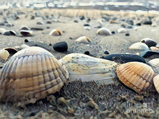 Sea Shells by Abbie Shores Sea Shells by Abbie Shores