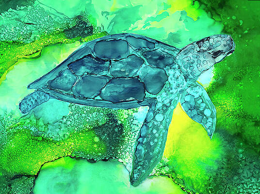 Shell Rock Paintings Fine Art America
