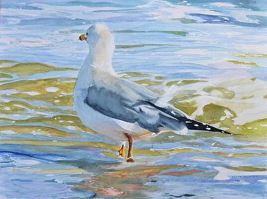 Seagull Wading by Patty Kay Hall Seagull Wading by Patty Kay Hall