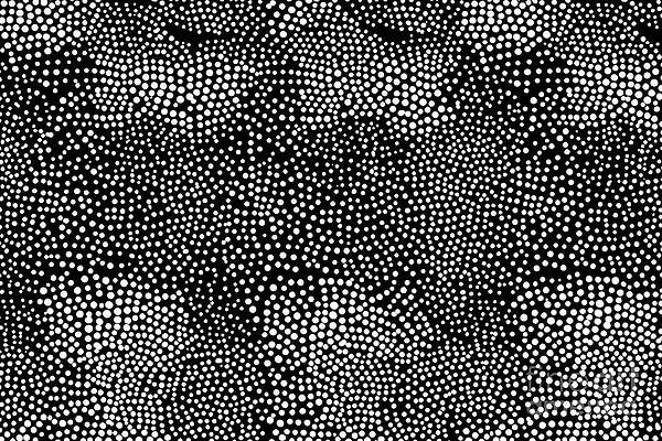 Wall Art - Painting - Seamless Hand Drawn Small Dense Polkadot Animal Spots Pattern In White On Black Background Abstract Aboriginal Dot Art Motif Or Organic Cellular Texture In A Trendy Doodle Line Art Or Linocut Style by N Akkash