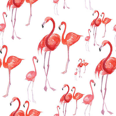 Flamingo Drawings Pixels