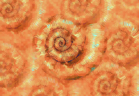 Wall Art - Mixed Media - Seashell Spiral Fossils Abstract  by Shelli Fitzpatrick