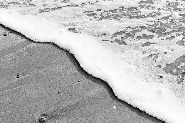 Seashore by Tanya C Smith Seashore by Tanya C Smith