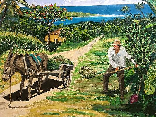 Seaside farm by Darryl Freeman